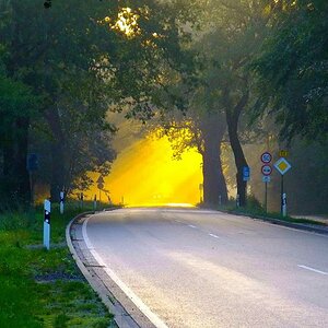 Morgenstimmung
