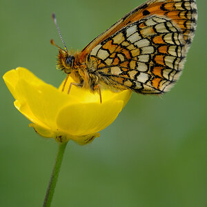 20100511 152522