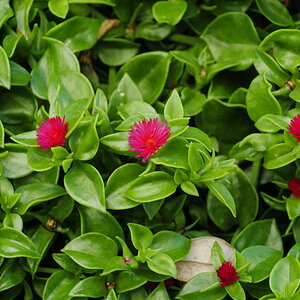 DSC0153 00128
