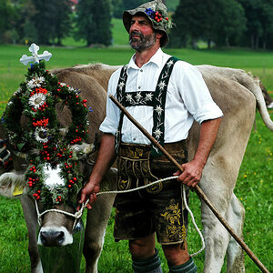 Almabtrieb