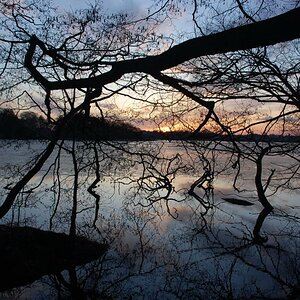 Ruppiner See