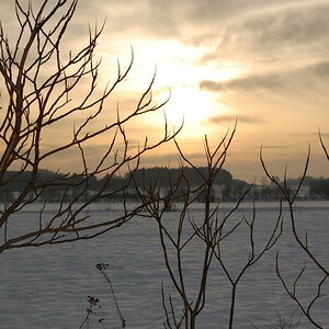 Winter 2010