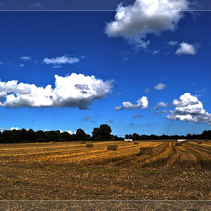 gemähtes Kornfeld (HDR)