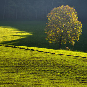 Herbst 16