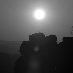 DSC 5035