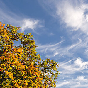 Herbst 19