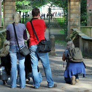 Bentlage Paparazzi 09/2010