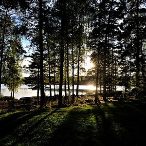 Gegenlicht