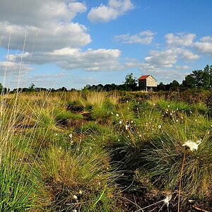 0208Recker Moor mit Aussicht entdecken