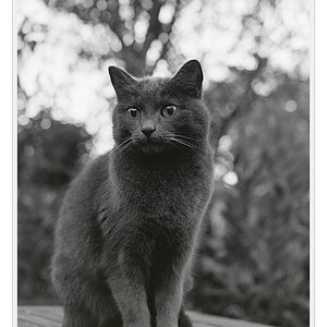 F100, Ilford HP5, Sigma 50/1.4 DG EX HSM @ f/4.5