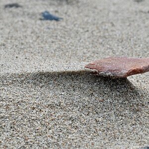 comp DSC 2869p