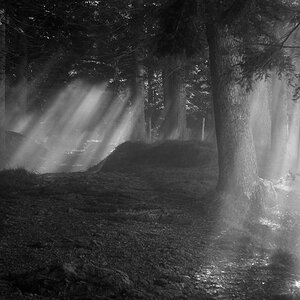 Gehe nicht ins Licht!