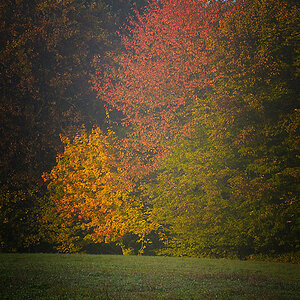 Herbst 07