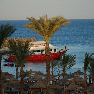 DSC 0056 01