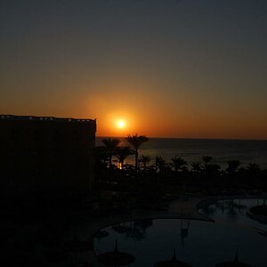 DSC 0061 01