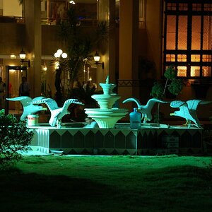 DSC 0177 01