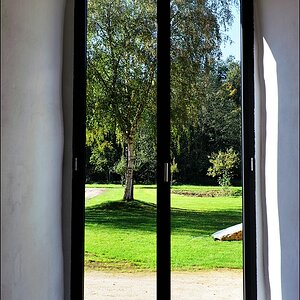 Fenster mit Birke Gravenhorst - 09.0.2010