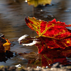 DSC3897 hsw