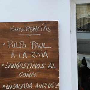 Pulpo Paul