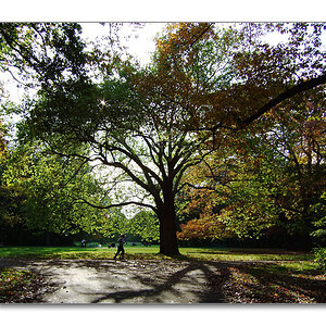 herbstwaldjogger