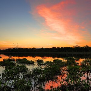 comp DSC 2781