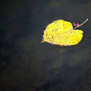 Herbst 22