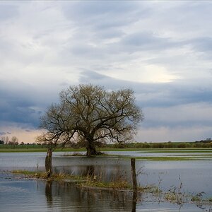 after the rain