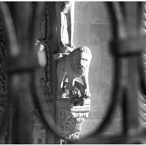Hinter Gitter
