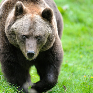 2010093014114424 hellabrunn