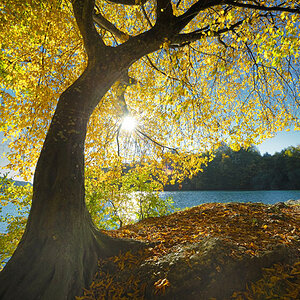 Herbst 24