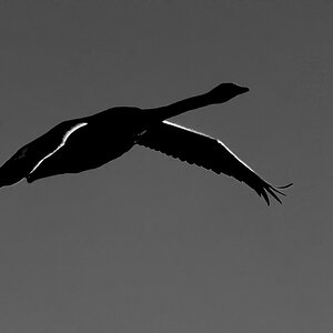 letztes Licht
