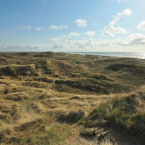 comp DSC 2290