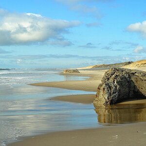 comp DSC 2329