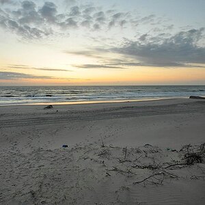 comp DSC 2346