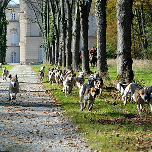 2010100914224440 herrenchiemsee 9