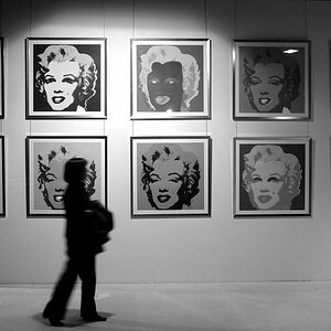 DSC 6771 Marylin SW Forum