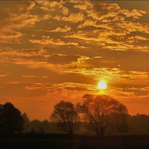 acomp duvens.brook 0133