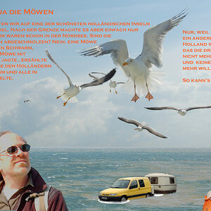Postcard Texel