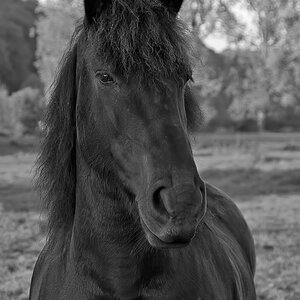 DSC5957 Kopie