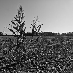 2010 10 09 12 11 56 1