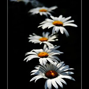 2010 07 19 15 57 06 b