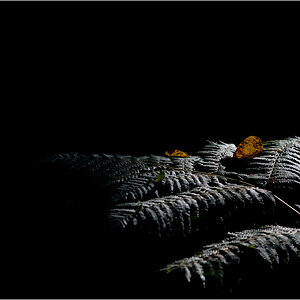 HerbstDSC 7636