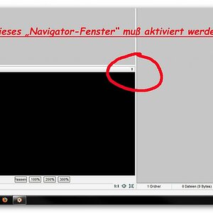 Navigator bei Fast Stone Image Viewer