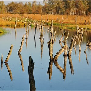 acomp duvens.brook 0671