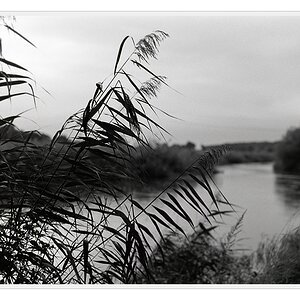 F100, AGFA APX 100, Sigma 50/1.4 HSM @ f/8