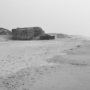 c DSC 2798