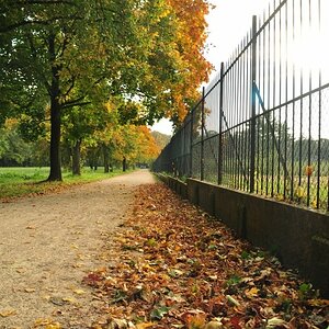 Herbststimmung im Großen Garten in Dresden