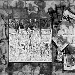 fenster