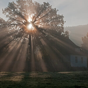 Gegenlicht