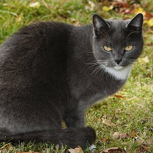 DSC 5262